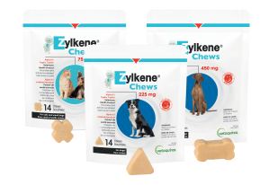 ZYLKENE CHEW 75 MG - 14.png ZYLKENE CHEW 75 MG