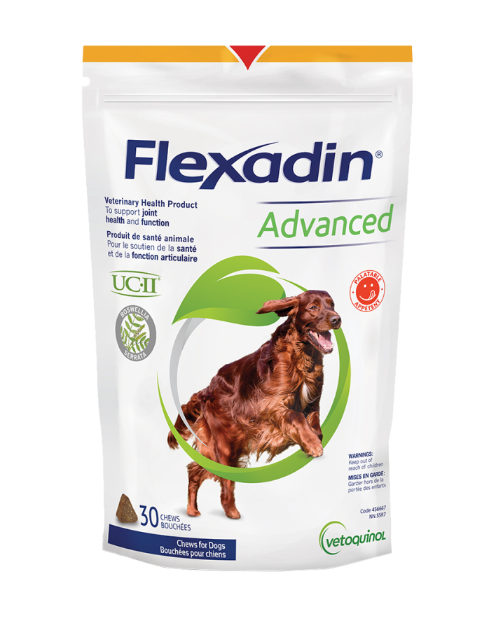 Terugspoelen Vrijstelling Productie Flexadin Advanced® | Vetoquinol